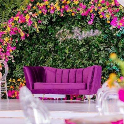 China (Other) Modern Design Luxury Pink Gray Green Velvet Flared Arm Loveseat Adjustable Living Room Sofa For Party Wedding for sale