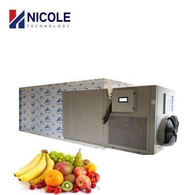 China Dehydration Plant Dehydrator Oven Fruit Heat Pump Drying Machine Vegetable Hot Air Dryer Machine for sale