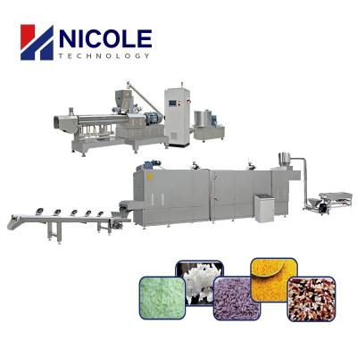 China High Productivity Rice Industrial Cereal Machine Twin Screw Plodder Making Machinery For Sale for sale