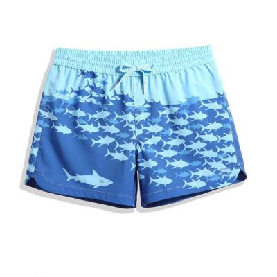 China Breathable Suitable For Surfing Ladies Printed Shorts Loose Beach Shorts Accept Customization for sale