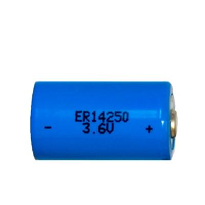 Κίνα electronic deivces er34615 3.6v 19000mah battery lithium d cell batteries er34615 lithium pack with strip προς πώληση