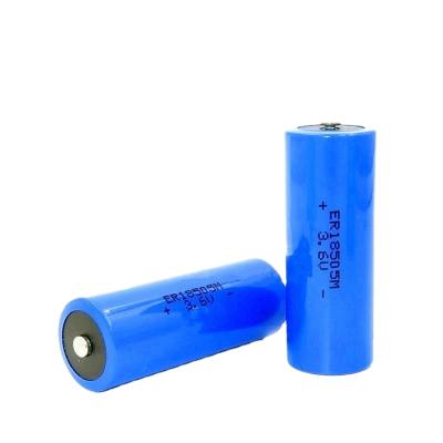 China toys li-socl2 non-rechargeable one size er18505 4000mah er18505-2 lithium battery for automatic smart meters Te koop