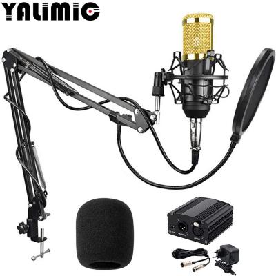 China Karaoke Recording MIC KTV Condenser Microphone BOM 800+48V DC Audio Handheld Studio Vocal Phantom Power Supply for sale