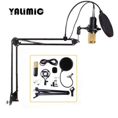 China Multifunctional Handheld Microphone Mounted Condenser Microphone For Wholesales for sale