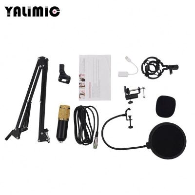 China New Handheld Microphone Design Lavalier Microphone Dual X 6Mta With Great Price for sale