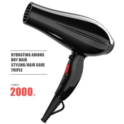 China Collapsible Professional Salon Negative Ion Hair Dryer for sale