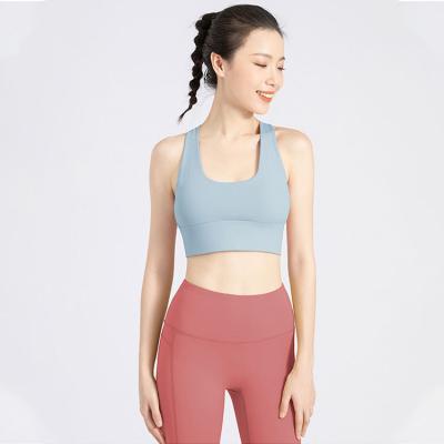 China Sweat-Wicking HQSLP sports bra thinkyouyes sports bra sports bras for women for sale