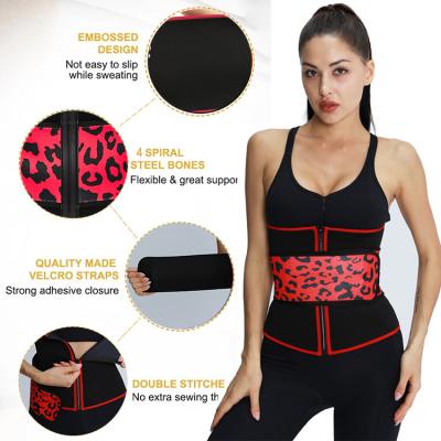 China Adult OEM Trainer Slim Back Brace Sweat Shaper Scoliosis Support Belt Double Waist Support Lumbar Belt for sale