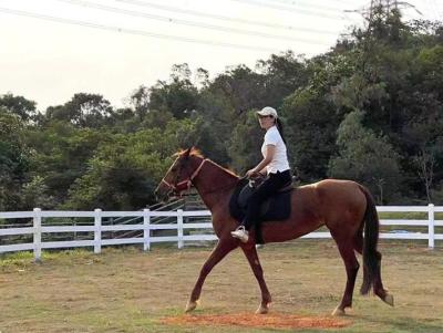 China Waterdicht buitenste vinyl plastic voor ranch hek paddock hek Te koop