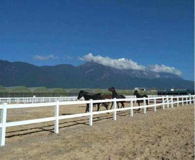 China Fácil de montar 2 trilhos 3 trilhos 4 trilhos de plástico branco Cercas de rancho de cavalos à venda