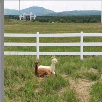 中国 White Plastic Rail Fence Vinyl Fence 3 Rails 4 Rails Horse PVC Farm Fence 販売のため