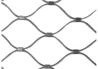 Cina Acciaio inossidabile Mesh Ferruled Type tessuto cavo metallico di Inox dello zoo 316 in vendita