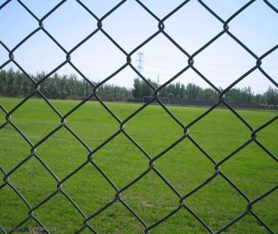 China 3mm 12 Gauge Chain Link Fence Pvc Coated Green 6x50 à venda