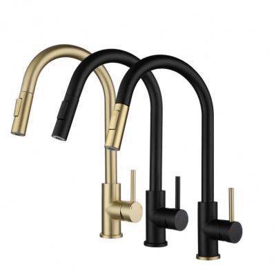 China Good Price Modern OEM Kitchen Sink Faucet Water Pull Out 304 Kitchen Faucet Faucets for sale