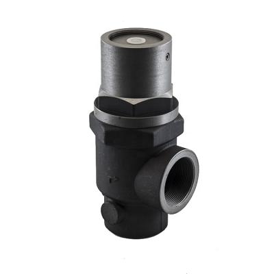 China Screw Air-compressor Parts MPV40A Check Valve Compressor Domestic Online Shop China Air Min Pressure Valve for sale