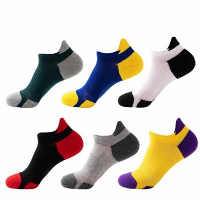 China MOQ Outdoor Running Mesh Breathable Men Sport Ankle Cotton Fitness Socks Summer Breathable Socks for sale