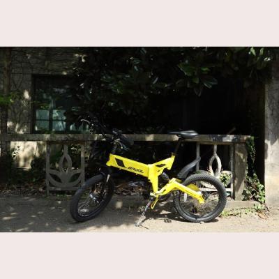 China Aluminum Alloy 250W Motor Brushless Folding Electric Bike for sale