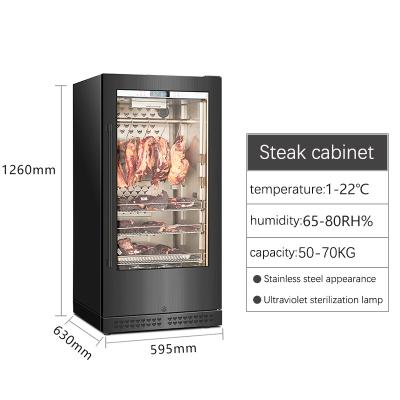 China New Vertical Modern Beech Double Door Double Door Shelving System Salami Cooler Dry Aging Cabinet Without The Noise for sale