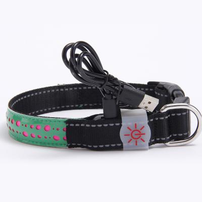 China Luminous Dog Collar Quick Release Dog Collar Luminous Collar Coupons Price for sale