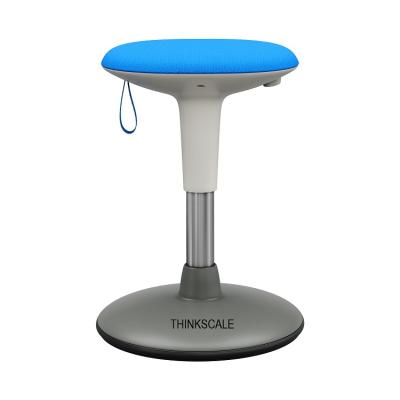 China US Market THINKSCALE Adjustable Fabric Cushion Ergonomic Blue Shimmy (Height) Stool for sale