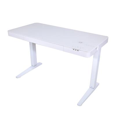 China Morden Design; Functional ; Double Motor Sit And Stand Table Electric Ergonomic Height Adjustable Desk for sale