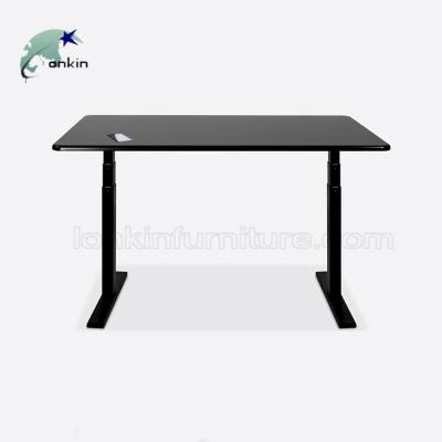 China Morden Design; Functional ; 2019 New Multifunctional Ergonomic Electric Height Adjustable Standing Desk for sale