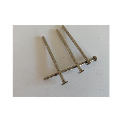 China Factory Sale Various Steel Nails Flat Manufacturing Nails Stainless Steel Adhesive Nail for sale