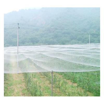 China Protect Agro Proof Best Anti Bird Proof-Anti-Bird-Net Lattice Net Western Bird Anti Agro Netting For Garden Bee Ne for sale