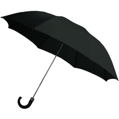 China Modern Wholesale Automatic Open 2 Fold Good Quality Umbrella With Plastic Handle for sale