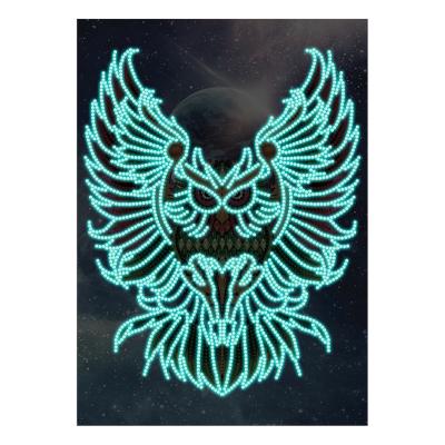 China Beautiful Diy Diamond Arts Modern Special Shaped Luminous Owl Canvas Painting for sale