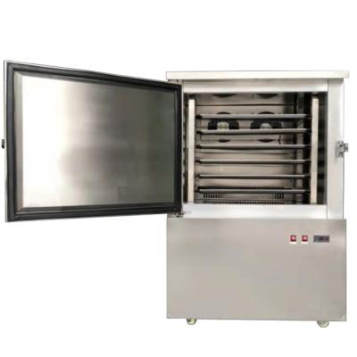 China Large Capacity Hotels Blast Freezer Cabinet Freezing Seafood for sale