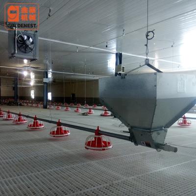 China Complete Equipment Farm House Broiler Farms Automatic Poultry Feeding Line For Broiler / Poultry for sale