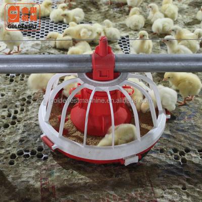 China Farms GOLDENEST Automatic Poultry Broiler Feeding And Drinking Equipment for sale