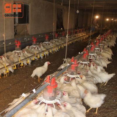 China Poultry Farm Automatic Chicken Broiler and Breeder Feeding System for sale