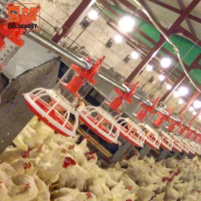 China Complete Patented Poultry House Product Breeder Chicken Feeding System Equipment for sale