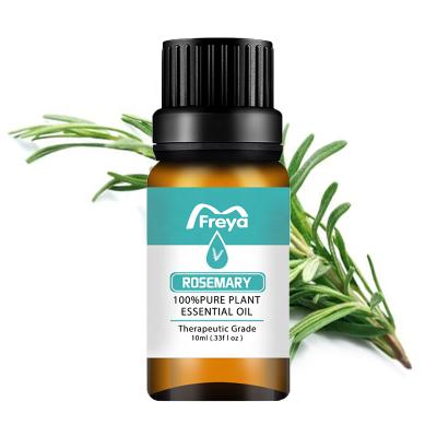 China 100% pure essential oil 10ml organic natural anti-plant extraction Rosemary aromatherapy oil essential for sale