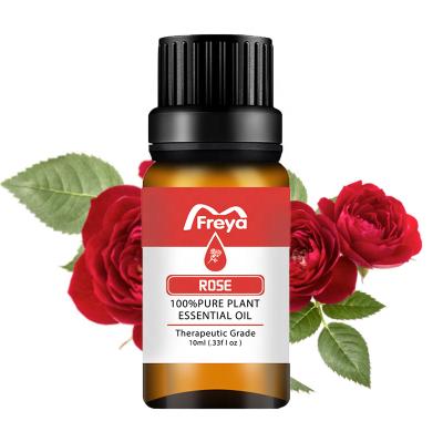 China 100% pure essential oil skin care Wholesale Shower Aroma Pure Bulk Rose oil essential for sale