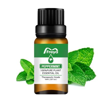 China buy 10ML aromatherapy 100% pure natural Peppermint Essential Oil for sale