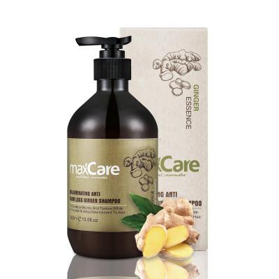 China Professional OEM ODM Salon Hair Loss Anti Itching Shampoo For Oily Scalp Maxcare Ginger Hair Shampoo Organic for sale