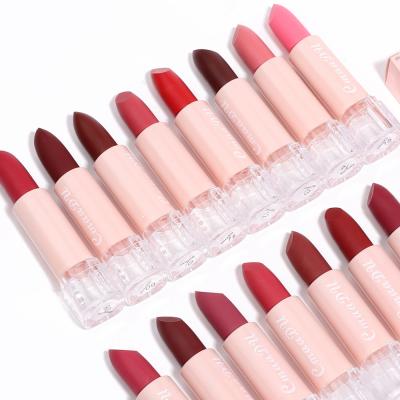 China Beauty Cosmetics Makeup Lady's Popular Matte Vegan OEM Private Label 15 Colors Lasting Lipstick for sale