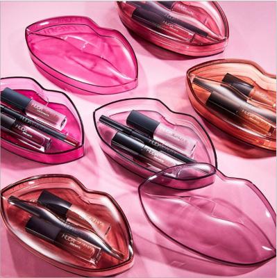 China New Design Hot Lasting Beauty Lady Beauty Cosmetics Makeup Lady Makeup Lip Gloss Vendor Set for sale