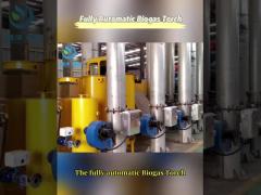 Fully Automatic Biogas Flare