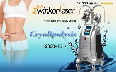 China 0 - 1000Kpa Non-Surgical Cryolipolysis Machine For Body Shape Fat Removal for sale