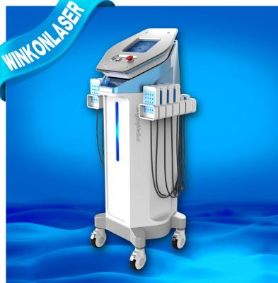 China Powerful Standing Lipo Laser Slimming Machine Equipment 176 Diode Lights for sale