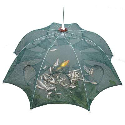 China Other 8 Door Folded Umbrella Fishing Net / trap umbrella cage for sale