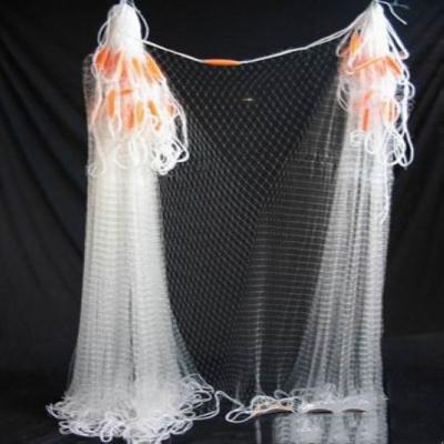 China Smoothness Free Samples Monofilament Gillnets For Sale Fishing Gillnet India for sale