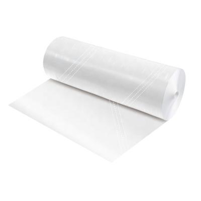 China 12 Inch Home Kitchen Cupcake Baking Cupcake Baking Disposable Clear Plastic Safe Disposable Icing Bag Disposable Bread Bag for sale