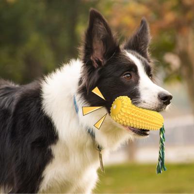 China 2020 Viable Squeaky Toys Corn Toothbrush Chew Toy Pet Toys Set Dog Toy Dog Squeaky Chew From Manufacturer for sale