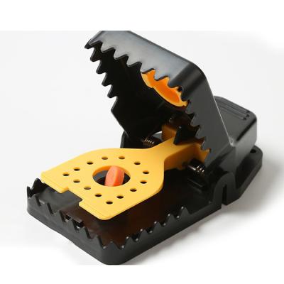 China Pest Control Viable Viable Snap Trap Rat Traps Plastic Black Mouse Trap For Home for sale