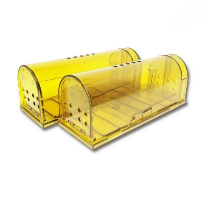 China Hook Mole Clamshell Catcher Non-Killer Cage Indoor/Outdoor Viable Humane Viable Mouse Trap Cage Small Transparent for sale